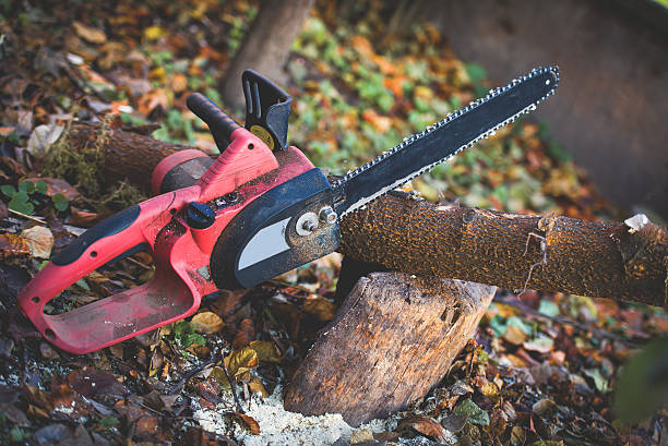 Best Utility Line Clearance  in Foresthill, CA